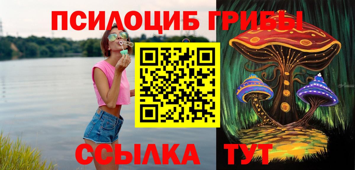Кинель  Псилоцибиновые грибы GOLDEN TEACHER  Вход с VPN 