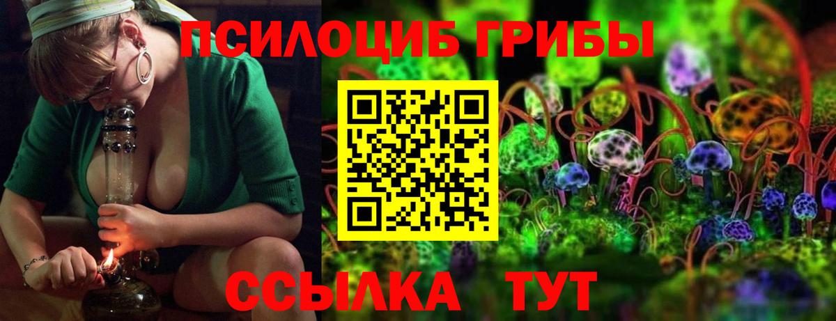 Псилоцибиновые грибы GOLDEN TEACHER Кинель